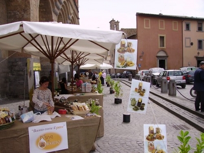 Forum Provinciale di sostenibilit: Orvieto 21-23 Giugno 2006