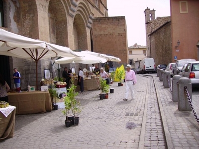 Forum Provinciale di sostenibilit: Orvieto 21-23 Giugno 2006