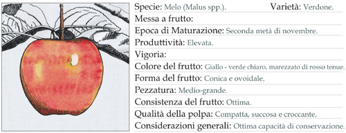 Scheda tecnica 5 - Melo Verdone