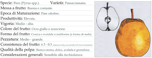 Scheda tecnica 6 - Pero Passacrassana