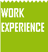 TAG Work Experience